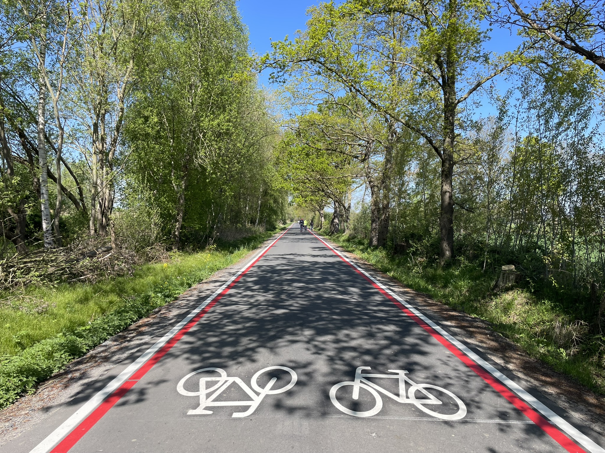 Hessenweg und Kötterstraße sind Münsters erste „Fahrradstraßen Basis“