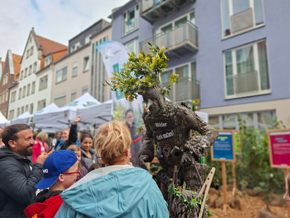 Die Eiche – ein Baum mit vielen Talenten